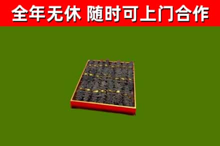 舒兰回收海参